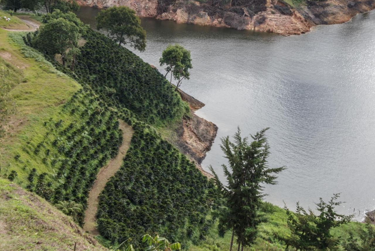 El Penol  Finca Casa Loma旅馆 外观 照片